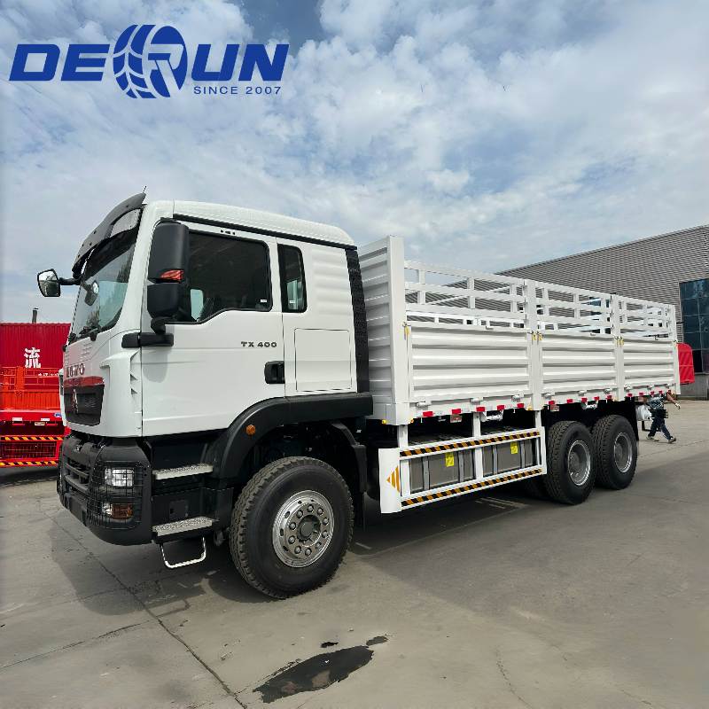 Sinotruk How 6x4 TX Cargo Truck